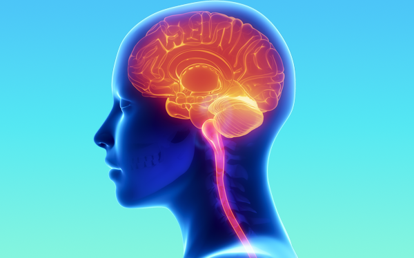 The Science of Anxiety: Rewiring Your Brain for Calm & Clarity