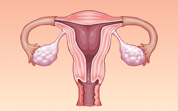 How to increase estrogen levels naturally
