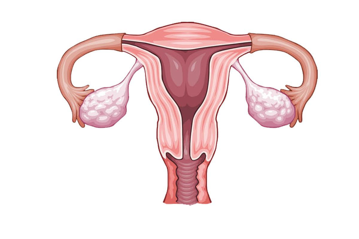 Symptoms of low estrogen in women