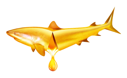 Omega-3 vs Omega-6 difference