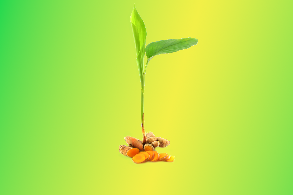 Does turmeric help with inflammation?